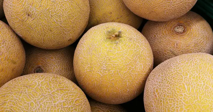 How To Pick Out A Ripe Cantaloupe