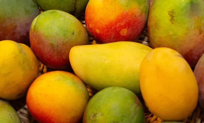 Is Mango A Natural Laxative