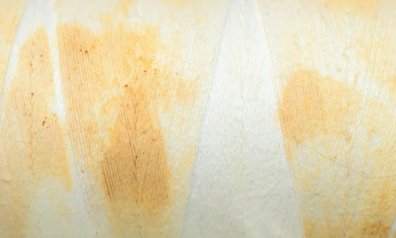 Why Does Mango Stain Clothes
